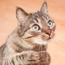 หลงชั้นสิ ชั้นสวยนะ