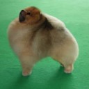 สมาชิกหมายเลข 1537196