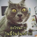 สมาชิกหมายเลข 3236707