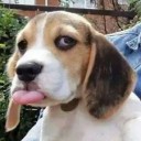 สมาชิกหมายเลข 1618045