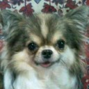 สมาชิกหมายเลข 802139