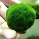 สมาชิกหมายเลข 1191177