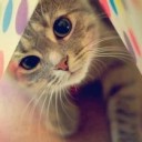 บะช่อหมูสามชั้น