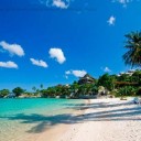 สมาชิกหมายเลข 1618808