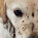 สมาชิกหมายเลข 2044713