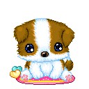 สมาชิกหมายเลข 801248