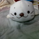 สมาชิกหมายเลข 802843