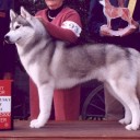 สมาชิกหมายเลข 803077