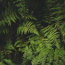 สมาชิกหมายเลข 2434949