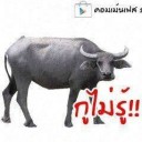 สมาชิกหมายเลข 2045355