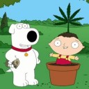 สมาชิกหมายเลข 1733722