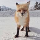 สมาชิกหมายเลข 2270517