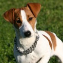 สมาชิกหมายเลข 803693