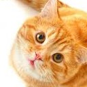 สมาชิกหมายเลข 803856