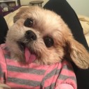 สมาชิกหมายเลข 2046010