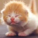 สมาชิกหมายเลข 773228