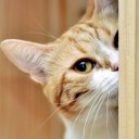 มิต้องเอื้อนเอ่ย