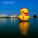 สมาชิกหมายเลข 1620781