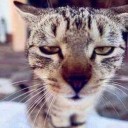 สมาชิกหมายเลข 2436547