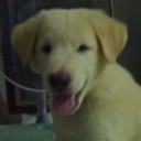 สมาชิกหมายเลข 2436692