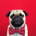 สมาชิกหมายเลข 2836241