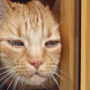 สมาชิกหมายเลข 3267263