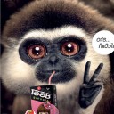 ตอนนี้หลงทาง จะขับตามทำไม