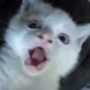 สมาชิกหมายเลข 1483985