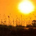 สมาชิกหมายเลข 1021969