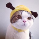 สมาชิกหมายเลข 2047259