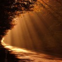 สมาชิกหมายเลข 2047277