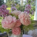 สมาชิกหมายเลข 2047408