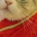 สมาชิกหมายเลข 1591951