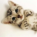 สมาชิกหมายเลข 771000