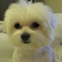 สมาชิกหมายเลข 805324