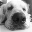 สมาชิกหมายเลข 1201857