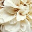 สมาชิกหมายเลข 1466165