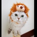 สมาชิกหมายเลข 1621852