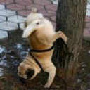 สมาชิกหมายเลข 1621945