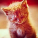 สมาชิกหมายเลข 1622089