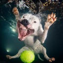 สมาชิกหมายเลข 825222