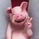 สมาชิกหมายเลข 2751818