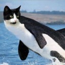 สมาชิกหมายเลข 805773