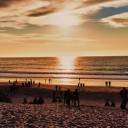 สมาชิกหมายเลข 1203905