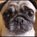 สมาชิกหมายเลข 1767408