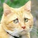 สมาชิกหมายเลข 3183404