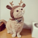 สมาชิกหมายเลข 1908587