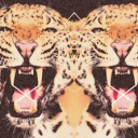 สมาชิกหมายเลข 767582