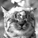 สมาชิกหมายเลข 2264883