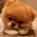 สมาชิกหมายเลข 2837612